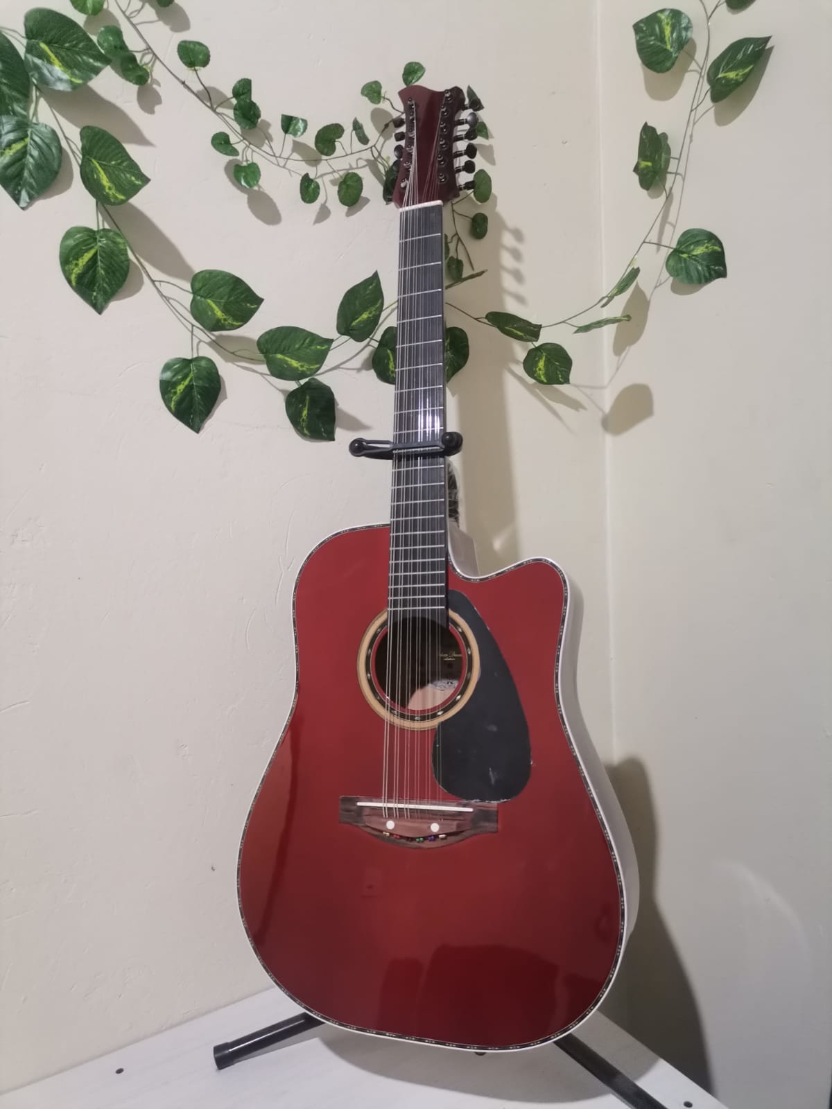 Docerola vista frontal